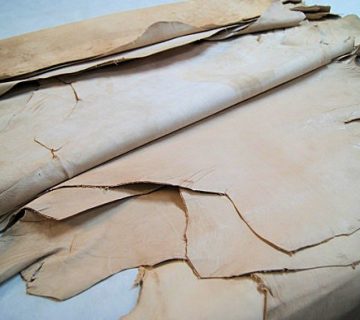 8da9d2158e564f2e98eaacc3018ec0ae 360x320