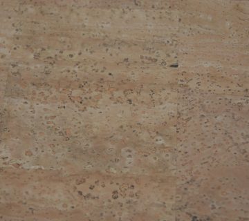 Tela cortica 02 360x320