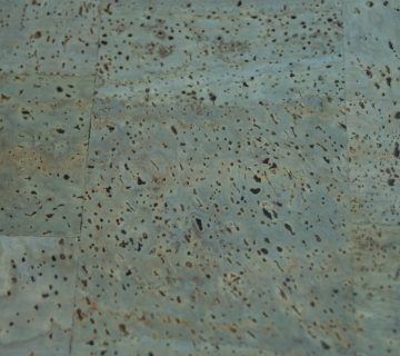 Tela cortica 03 360x320