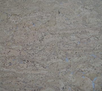 Tela cortica 14 360x320